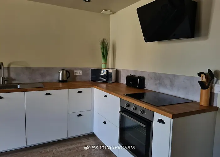 Hdh - Charme Et Moderne - Proche Du Puy Dufou 度假居