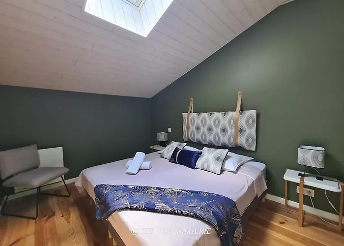 Hdh - Charme Et Moderne - Proche Du Puy Dufou 度假居 *