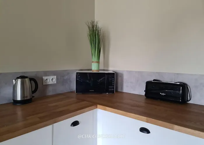 Hdh - Charme Et Moderne - Proche Du Puy Dufou *