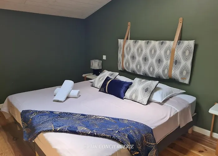 Hdh - Charme Et Moderne - Proche Du Puy Dufou *